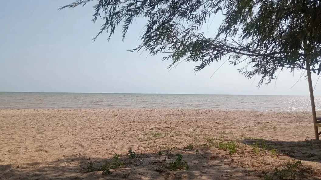 Морской чулек море. Морской чулек таганрог. Натальевка ростовская область море. Азовское море у ростова на дону. Азовское море ростов.