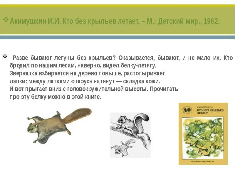 Кто без крыльев летает иллюстрации. Кто без крыльев летает. Книга обложка кто без крыльев летает. Кто без крыльев летает иллюстрации. Кто без крыльев летает.