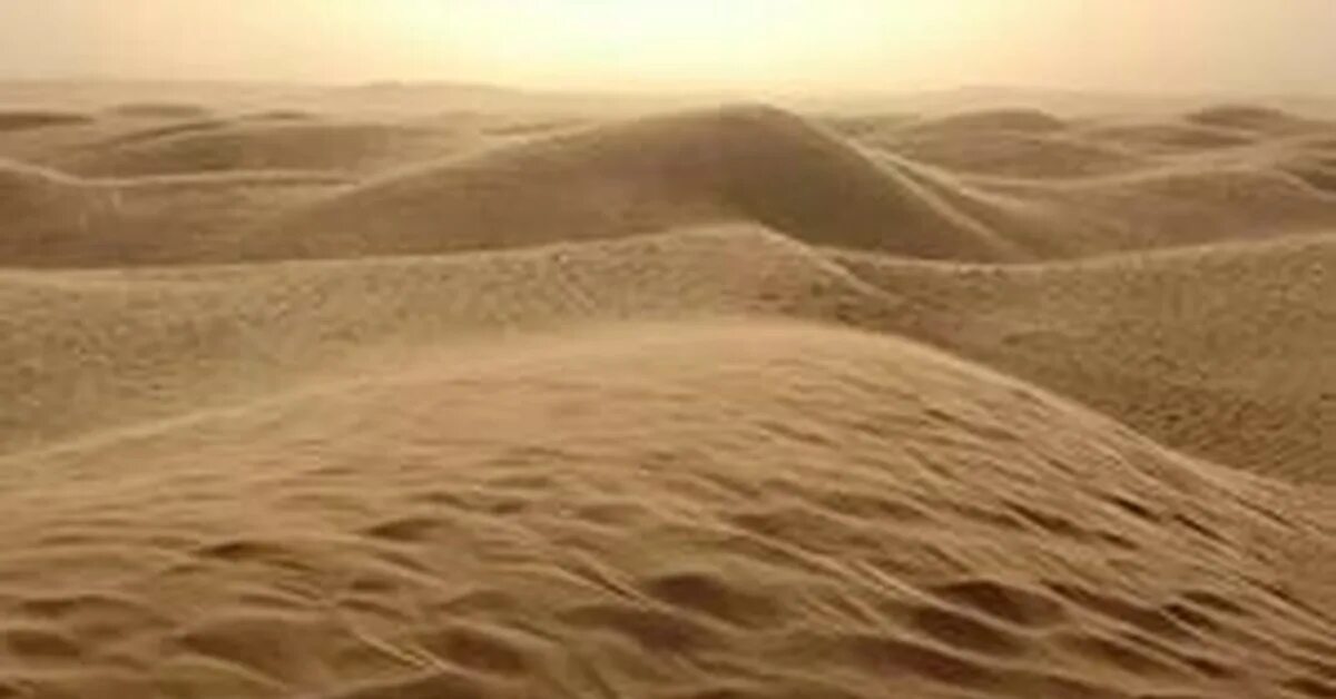Новая жизнь жар песков. Кабо Абэ женщина в Песках.