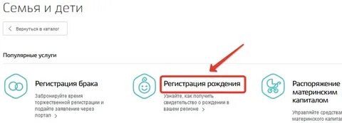 Можно подать на гражданство через госуслуги