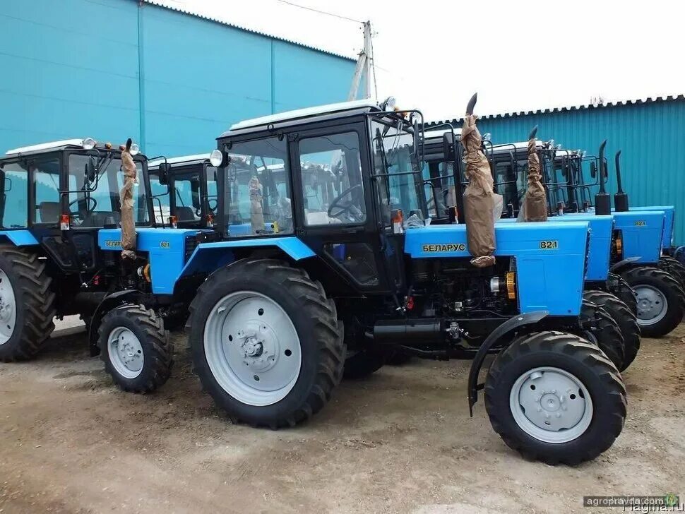 Трактор Беларус МТЗ 82. Трактор "Беларус-82.1" (МТЗ) новый. Тракторы МТЗ 82.1 новые. Трактор Беларус 82.1.