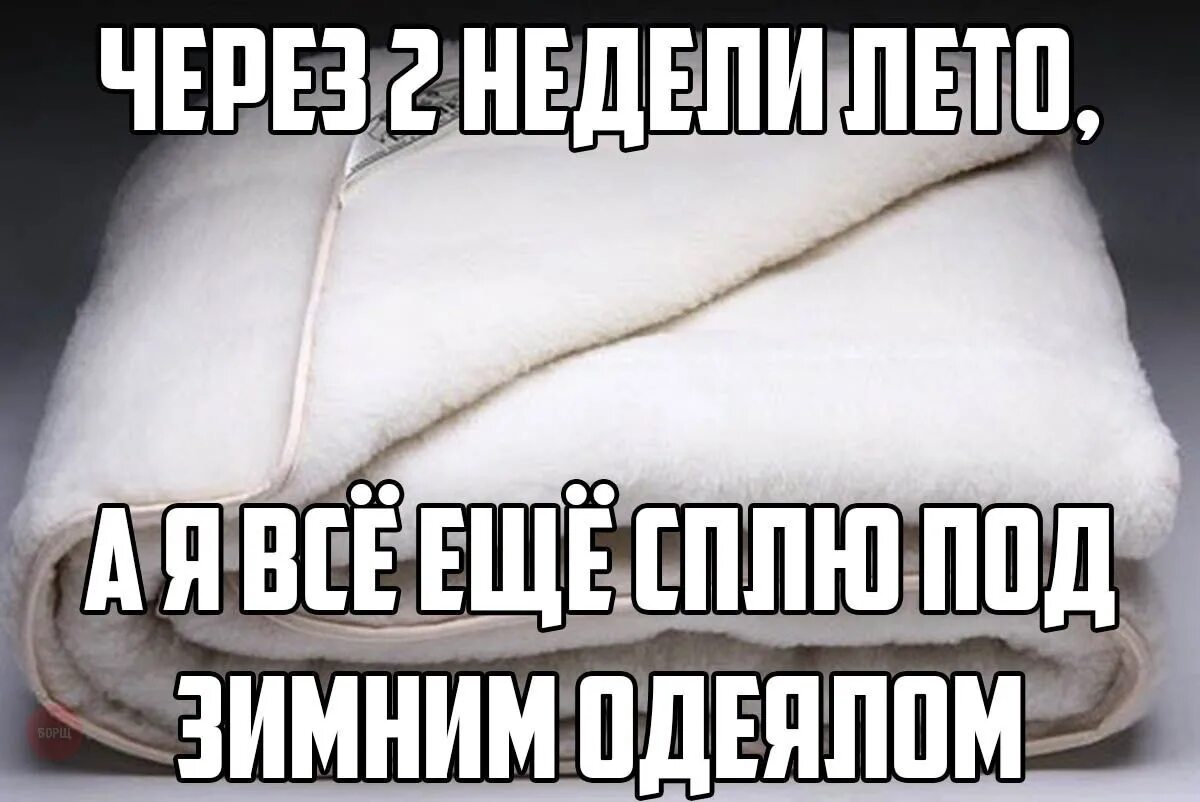 Одеяло прикол. Шутки про теплое одеяло. Мем зимнее одеяло. Одеяло юмор. Раньше чем через неделю