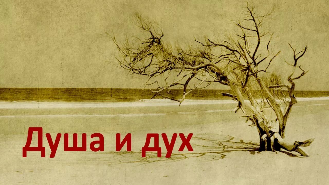 Его дух и душа. Дух и душа. дух, душа и тело. дух душа тело разум. дух и душа в чем разница.