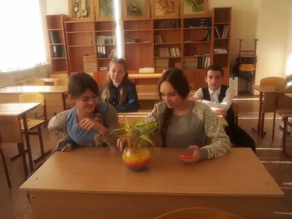 Школа 627 имени лелюшенко
