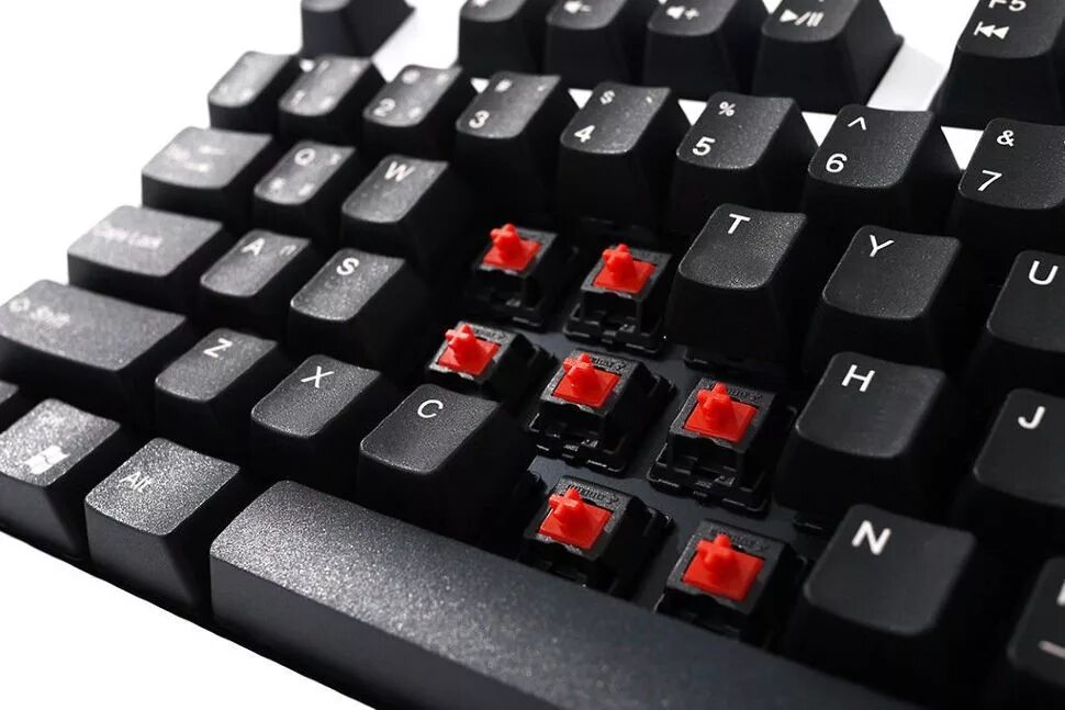 Фото клавиатуры. Клавиатура Zowie Gear celeritas MX Red Black USB+PS/2. Клавиатура Zowie Gear celeritas MX Brown Black USB+PS/2. Клавиатура Zowie Gear celeritas II Black USB+PS/2. Zowie Gear celeritas Cherry MX.