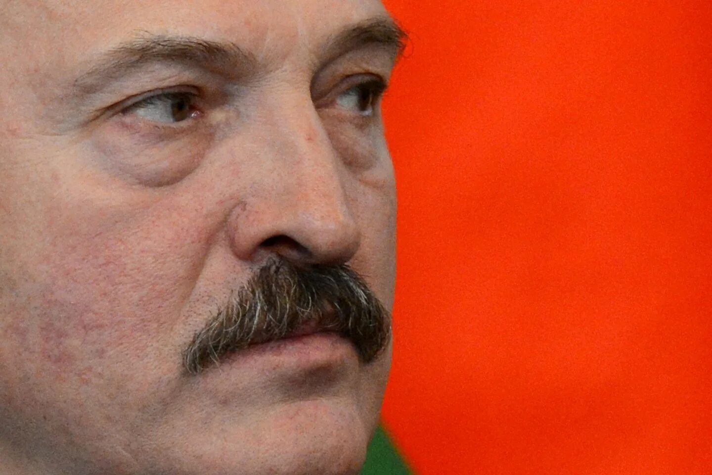 Усы лукашенко телеграмм. Усы лукашенко. лукашенко нос. аляксандр рыгоравіч лукашэнка.