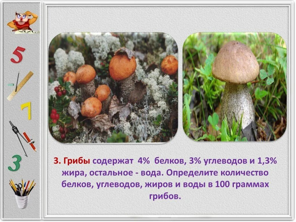 Грибы содержание белков жиров углеводов. Что содержат грибы. Грибы это углеводы или белки. Грибы это белки жиры или углеводы. Грибы это белок или углевод.