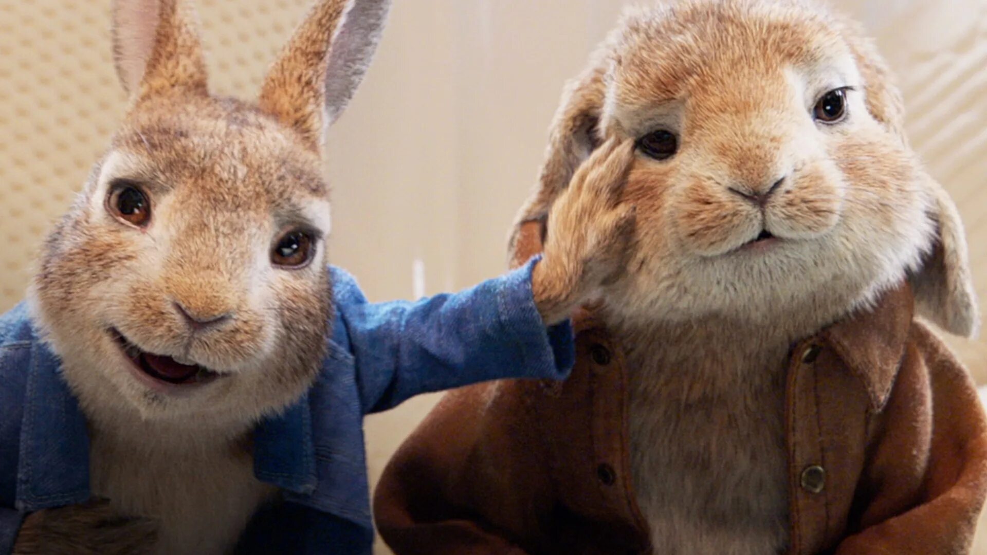 Rabbit 2. Rabbit 2