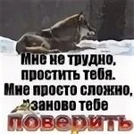 Простить не сложно сложно. Простить не трудно сложно заново поверить. Простить не сложно сложно заново. Цитата прощать не сложно , сложно заново поверить.