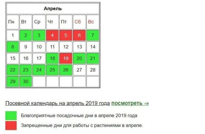 Благоприятные дни посадки картофеля в апреле