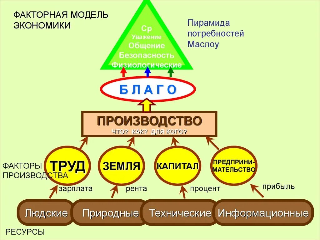 Субъекты экономики. Введение в социальные науки. Понятие и предмет экономики. Экономическая безопасностькнига, м. Введение в экономическую науку.