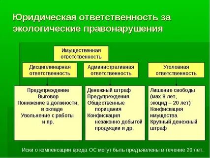 Экологическое право вид правонарушения
