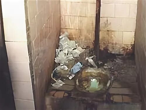 Видео вскипяти туалета. Видео вскипяти туалета. Туалет чаша генуя армейские. Видео вскипяти туалета. Гигантский унитаз.