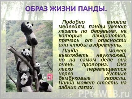Лазать или лазить