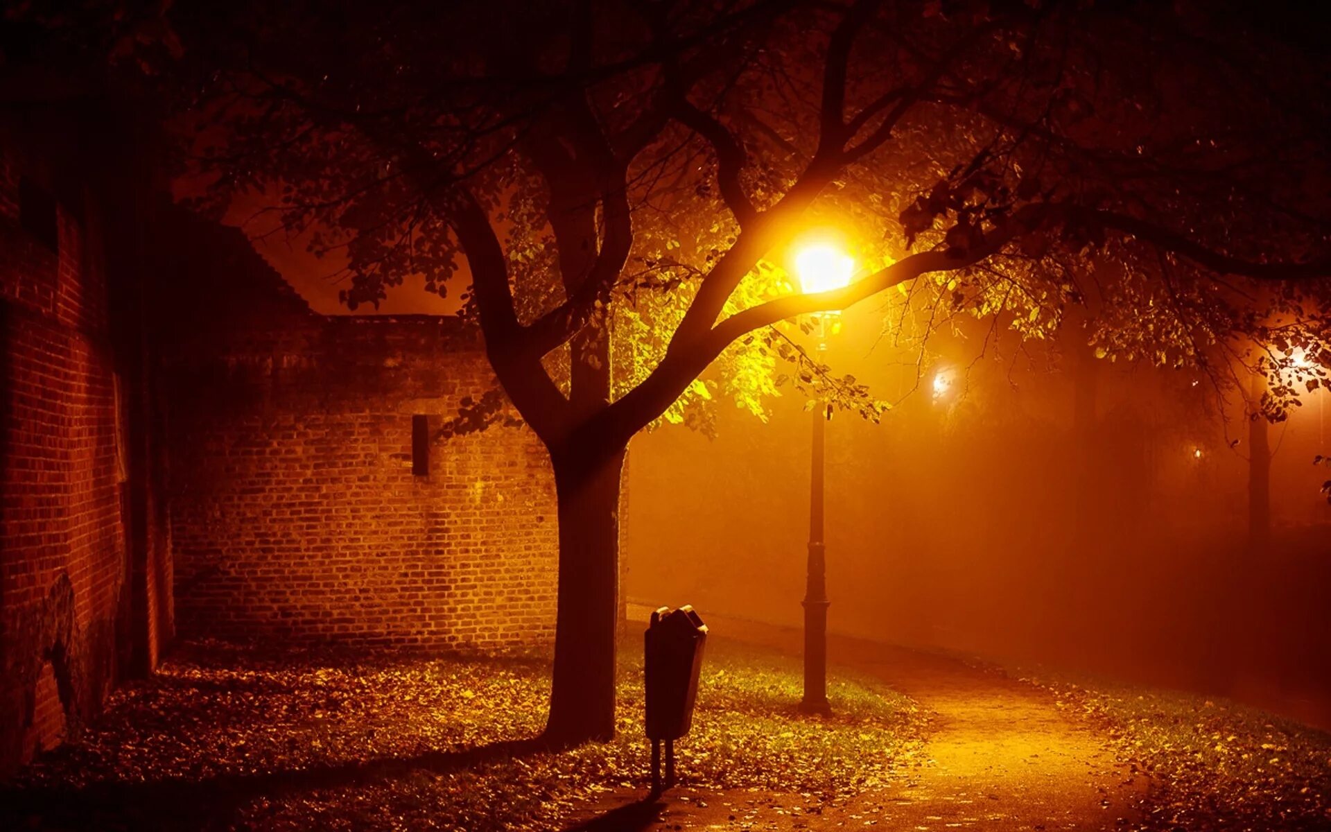 Осень ночь. Уличный фонарь ночью. Ночные фонари. Осенний вечер.