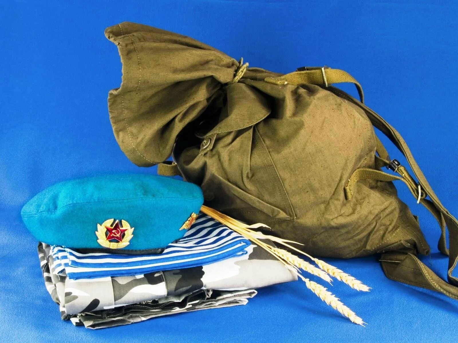 23 атрибуты. Армейские атрибуты. военная атрибутика. атрибуты вдв. военные атрибуты для детей.