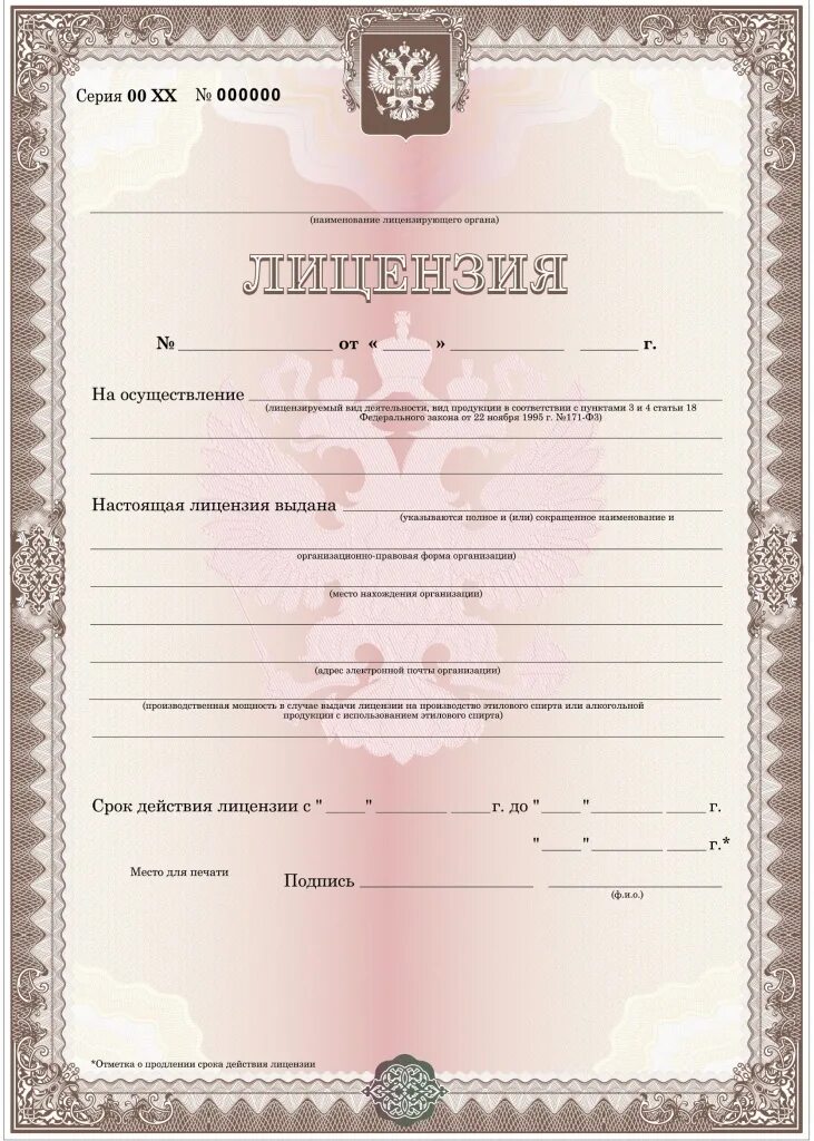 Лицензирование пример