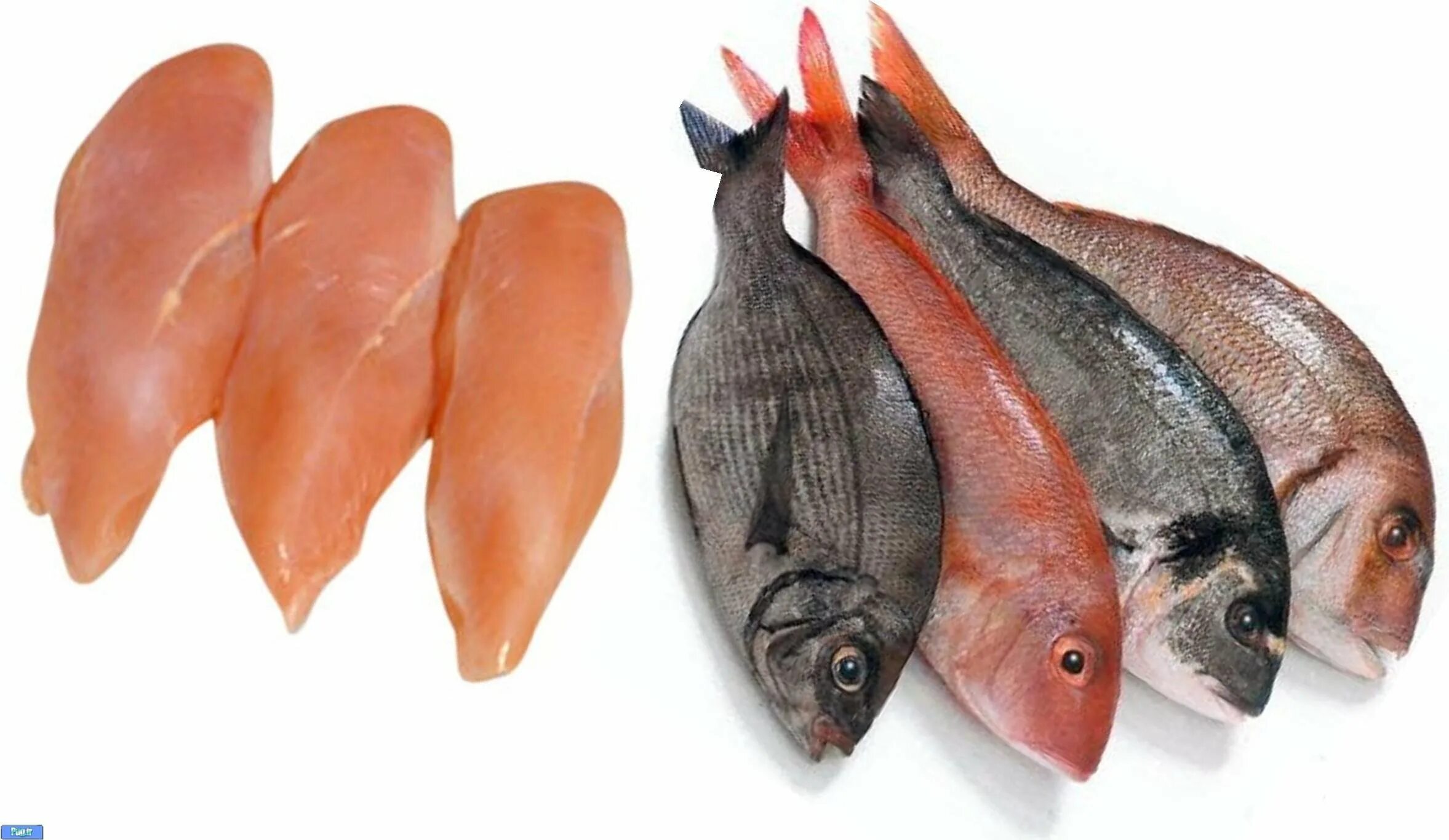 Как называется рыбье мясо. Мясо и рыба. рыба курица. морская рыба мясо. морская курица.
