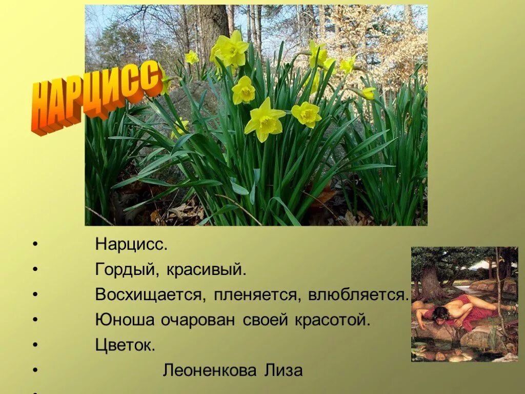 Описание красоты цветов. Сады леонардсли (leonardslee gardens). Рассказ о красоте растений родного края. Первоцветы для дошкольников. Рассказ о красоте растений новосибирска.