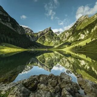 Der schweiz