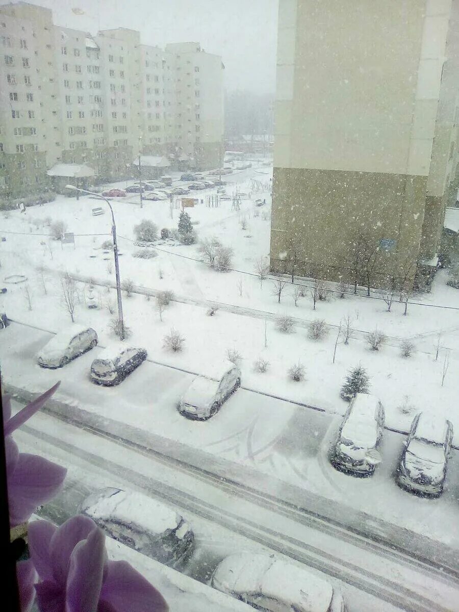 Сколько сегодня снег. Снегопад в Москве 27 апреля 2021. Сегодняшний снегопад в Москве. Снегопад в апреле. Снег в апреле в Москве.