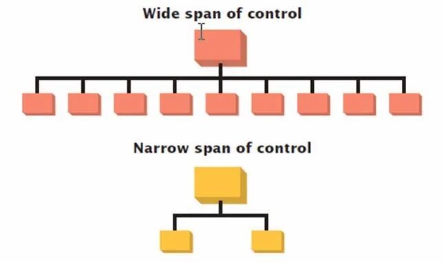 Show span. Narrow span of Control. Wide span of Control. Span. Span of Management.