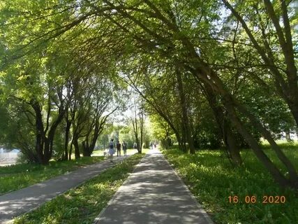 Аллея череповец
