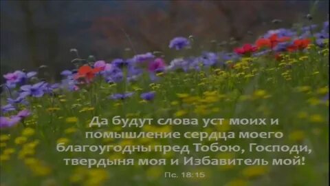 Есть слово уст