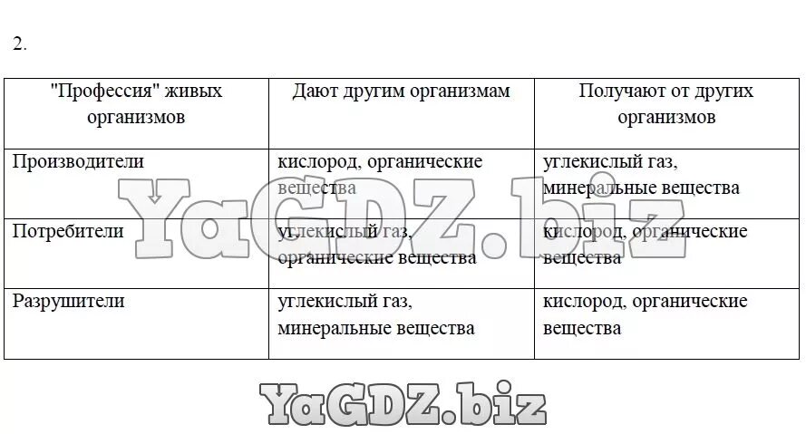 Заполните таблицу производители потребители разлагатели. Производители потребители Разрушители 5 класс биология таблица. Таблица по биологии производители потребители разлагатели. Функции потребителей в биологии. Заполни таблицу группы водных организмов