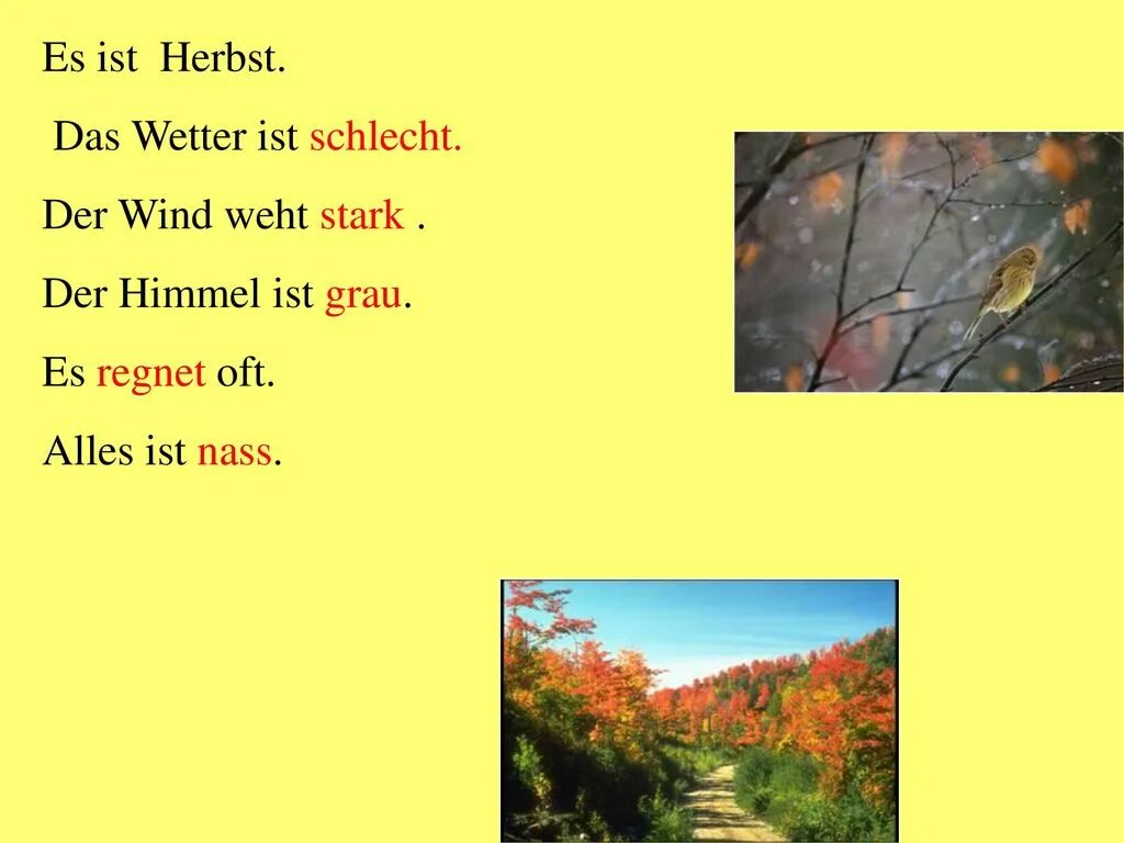Тема по немецкому погода. Тема das wetter. Wetter a1. Wie ist das wetter heute ответ на вопрос. Слова по теме погода на немецком es ist.