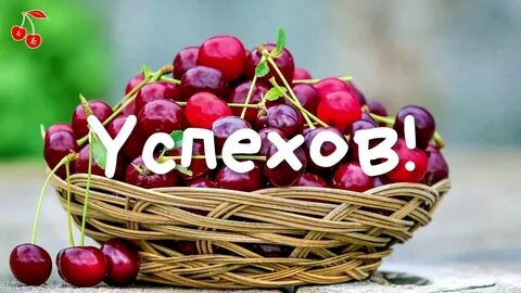 Канал вишня