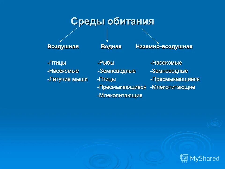 Среда обитания пресмыкающихся и млекопитающих