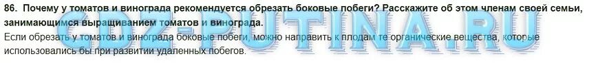 Биология 6 класс стр 101 вопросы. Почему у томатов и винограда рекомендуется обрезать боковые побеги. Почему у томатов и винограда рекомендуется обрезать боковые. Почему у томатов и винограда рекомендуют обрезать боковые побеги?.