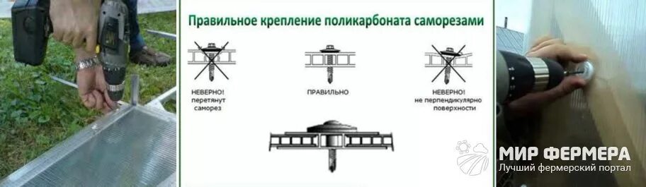 Размер саморезов для крепления поликарбоната. Шурупы для монолитного поликарбоната. крепление поликарбоната кровельными саморезами. крепление поликарбоната к дереву. крепление поликарбоната к металлу.