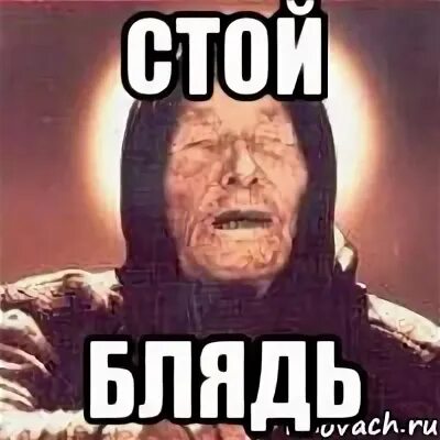 Да стоить