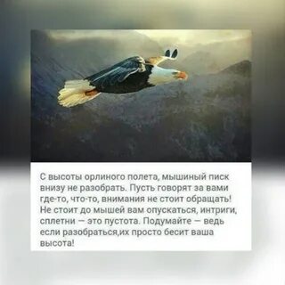 Революционный орлиный восторженный