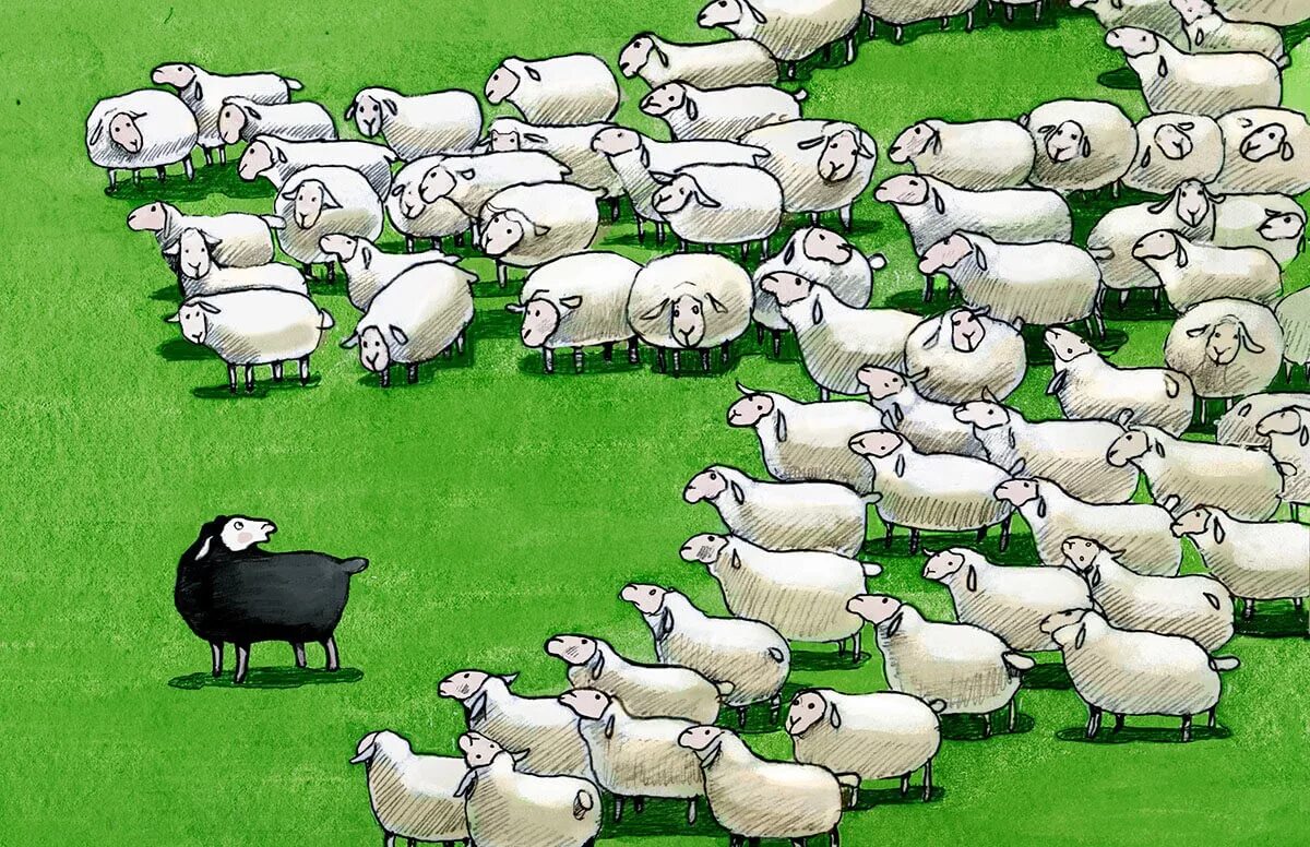 Портит стадо. Черная овца среди белых. Одна Овечка среди стада. Одна паршивая овца все стадо портит. Паршивая овца в стаде.