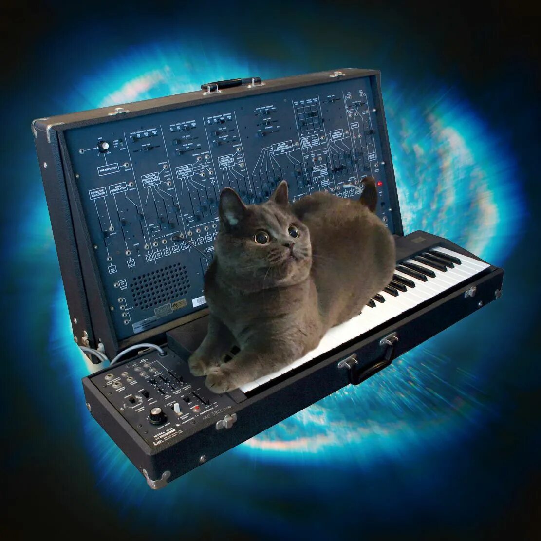 Музыкальный кот. Кот на синтезаторе. синтезатор в космосе. кот в космосе с пианино.