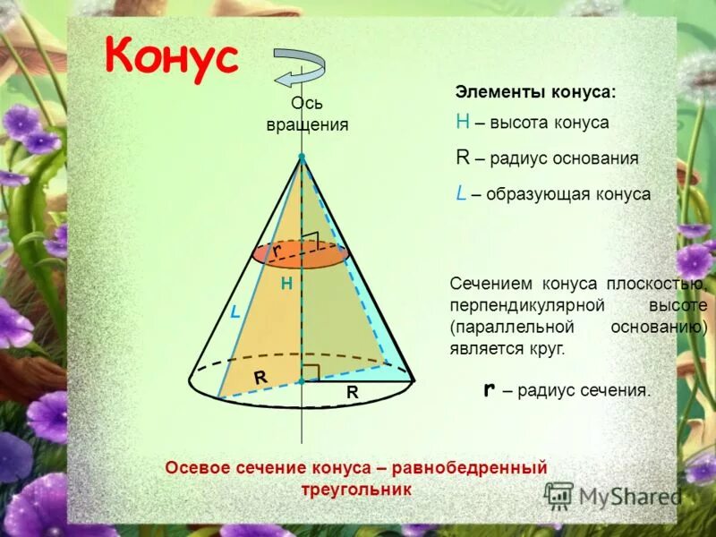 Сколько образующих можно провести. Конус осевое сечение образующая высота радиус. Образующая конуса конуса. Радиус сечения конуса. Конус образующие конуса.