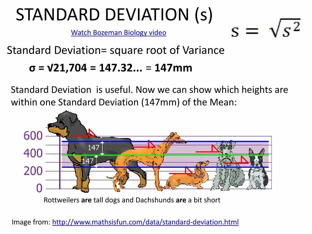 Deviation meaning. Standard deviation. Standard deviation is. What is Standard deviation. STD Standard deviation.