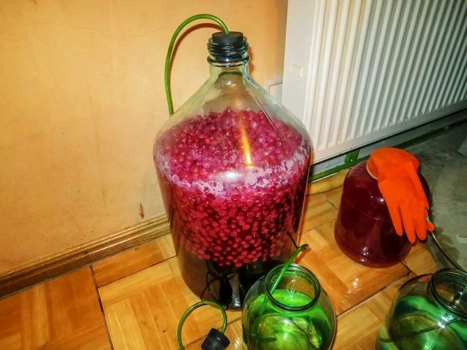 Рецепт вина перчаткой