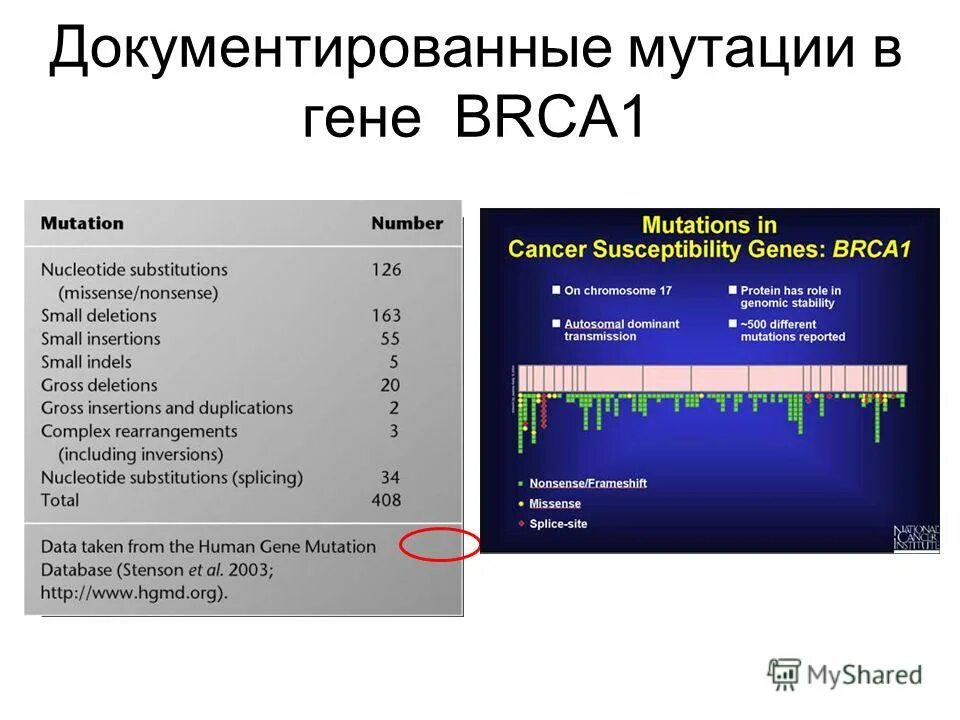 Мутации генов в онкологии. Обнаружена мутация гена. Мутации в генах. Мутации в генах brca. Что значит гетерозиготный ген.