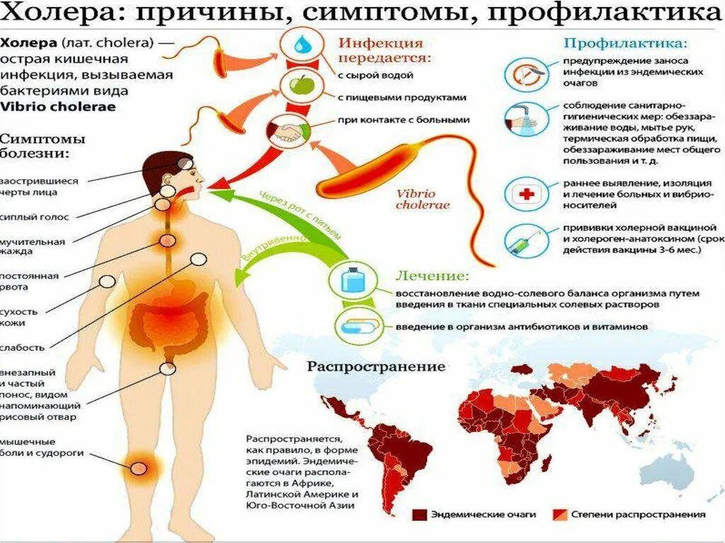 Инфекция 13