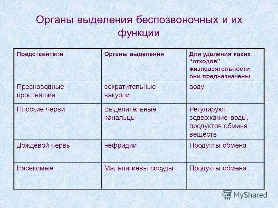 Какая структура выполняет выделительную функцию. Таблица по биологии представители выделительная система. Таблица строение выделительной системы группа животных. Таблица по биологии 7 класс органы выделения. Органы выделения таблица 7 класс биология.