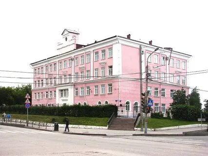 Гимназия каменских