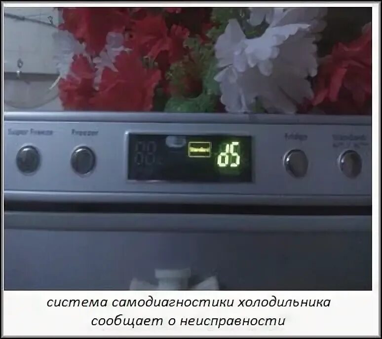 Холодильник пищит и не включается. Холодильник самсунг rl28fbswsi. холодильник самсунг 2006 года. холодильник самсунг не отключается. пищит холодильник samsung.