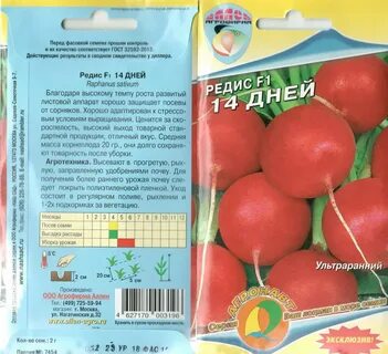 Редиска 2