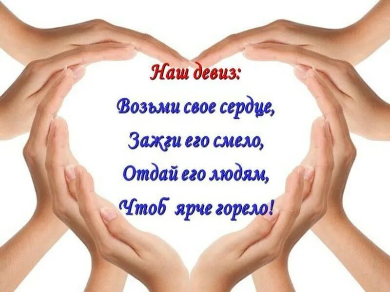 Дания интересные факты с картинками. Жизненные девизы. Название волонтерского движения. Девиз кричалки для команды. Лозунг мчс россии.