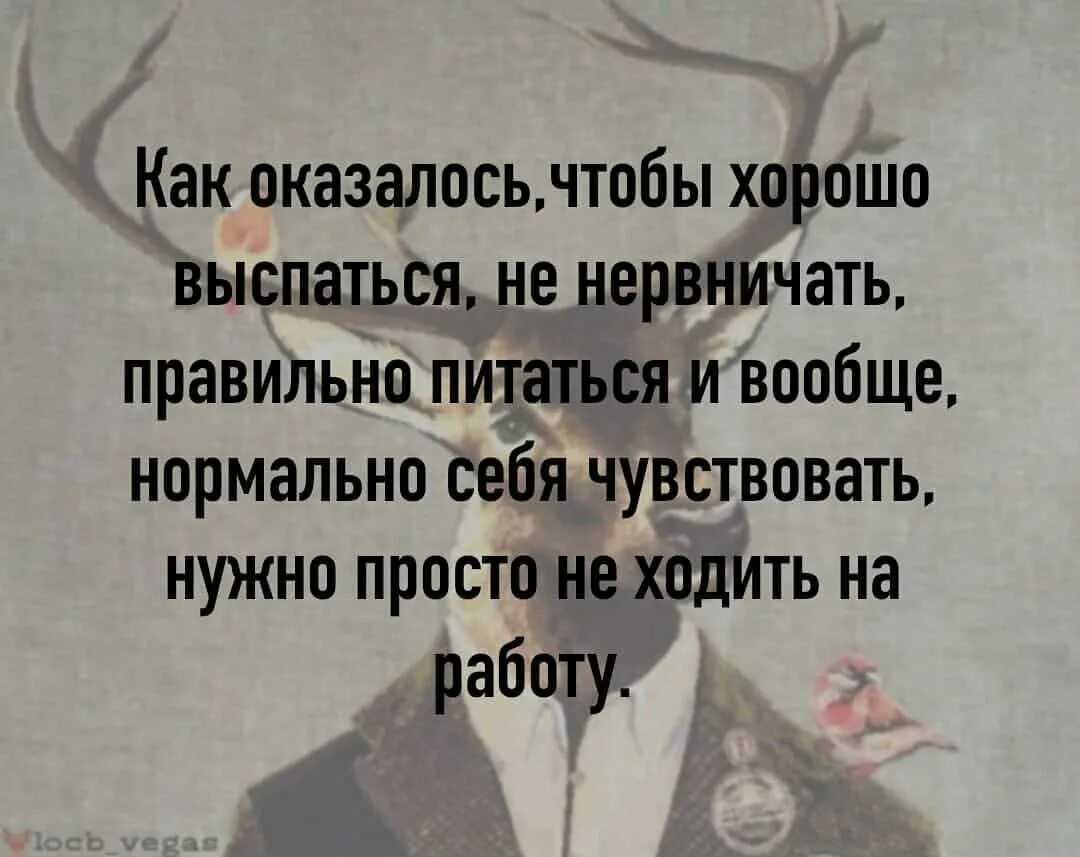 Как оказалось чтобы хорошо выспаться не нервничать. Как оказалось чтобы высыпаться. Хорошо выспаться.