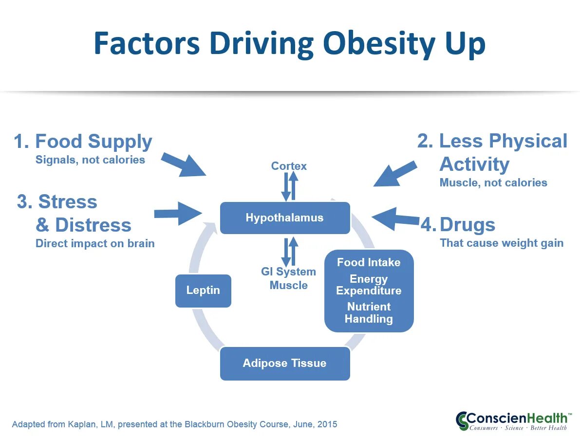 Causes of obesity. Obesity reasons. Causes of obesity. Causes of obesity. Psychological symptoms of obesity and overweight.